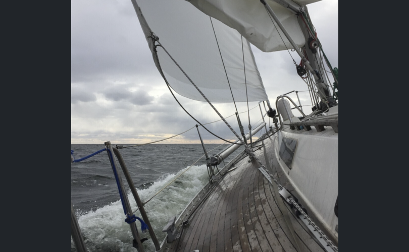 Finn 35 mod 38-kuva-6